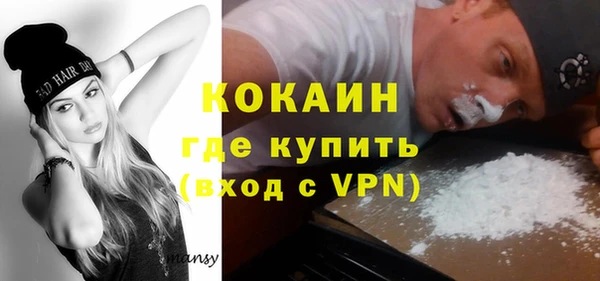 сатива Кукмор