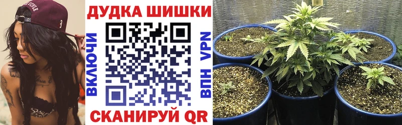 МАРИХУАНА Ganja  блэк спрут как зайти  Черногорск  где можно купить наркотик 